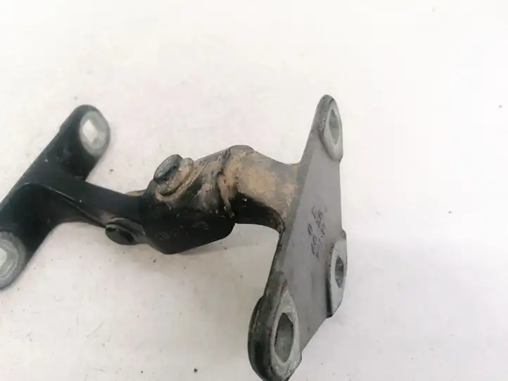 BMW X5 E70 (2006 - 2013) Нижняя петля задней двери — фото 3