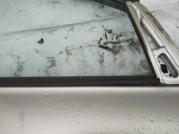 Toyota Avensis Verso (2001 - 2004) Накладка стекла передней двери — фото 2