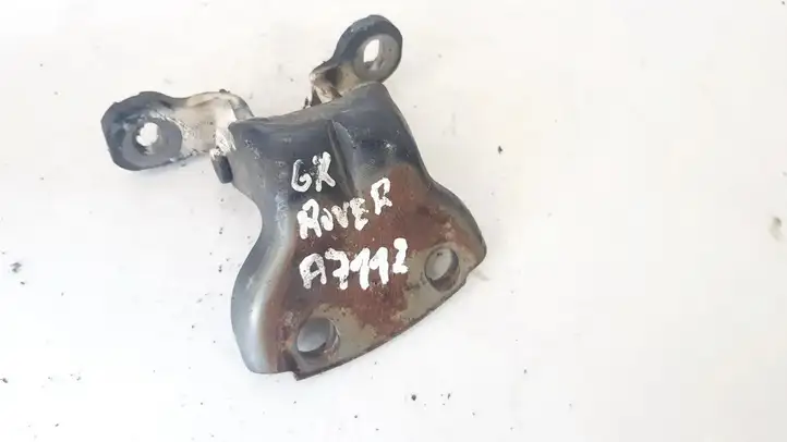 Rover 45 (1999 - 2005) 84201sy3e000 Нижняя петля задней двери — фото 1