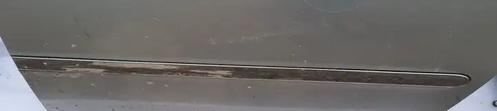 Toyota Avensis Verso (2001 - 2004) Молдинги задней двери — фото 1