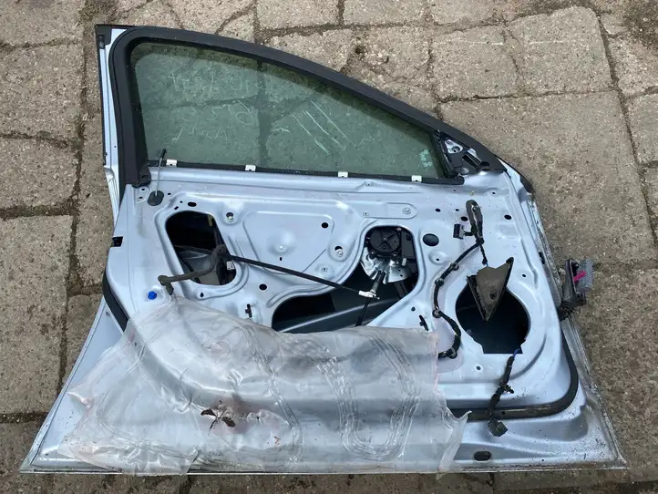 Opel Insignia A (2008 - 2017) Дверь — фото 2