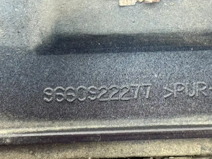 Citroen C6 (2005 - 2012) 9660922277 Молдинги задней двери — фото 2
