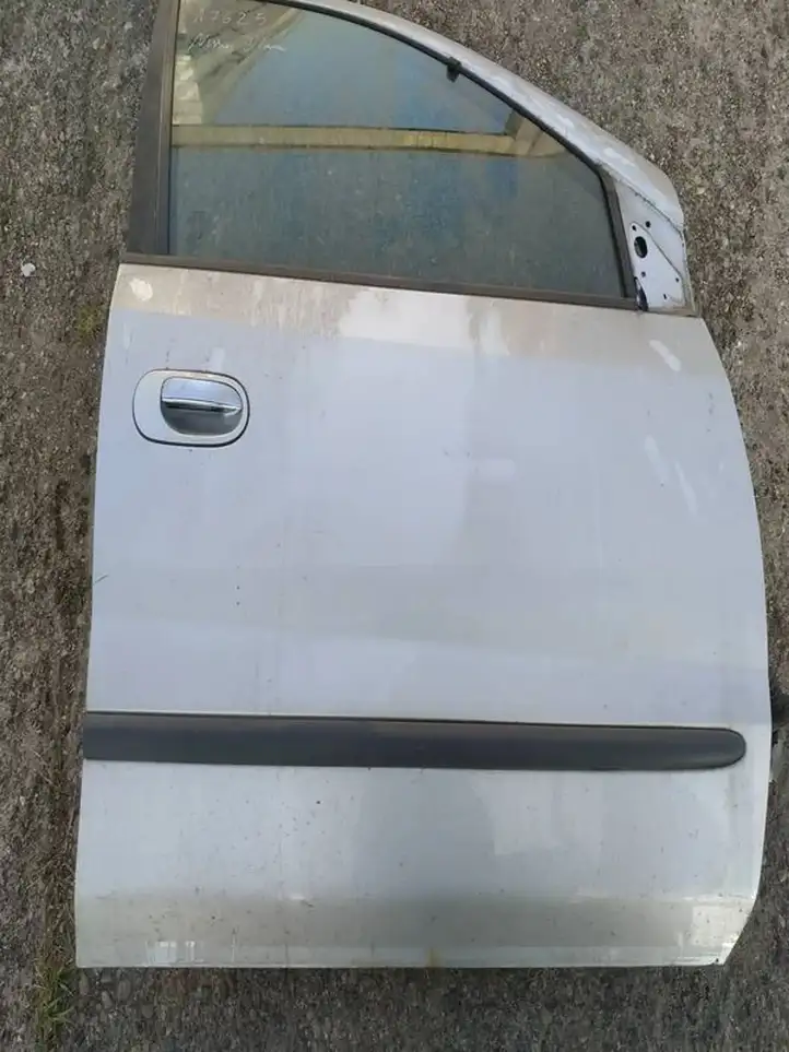 Nissan (2000 - 2006) pilkos Дверь — фото 2