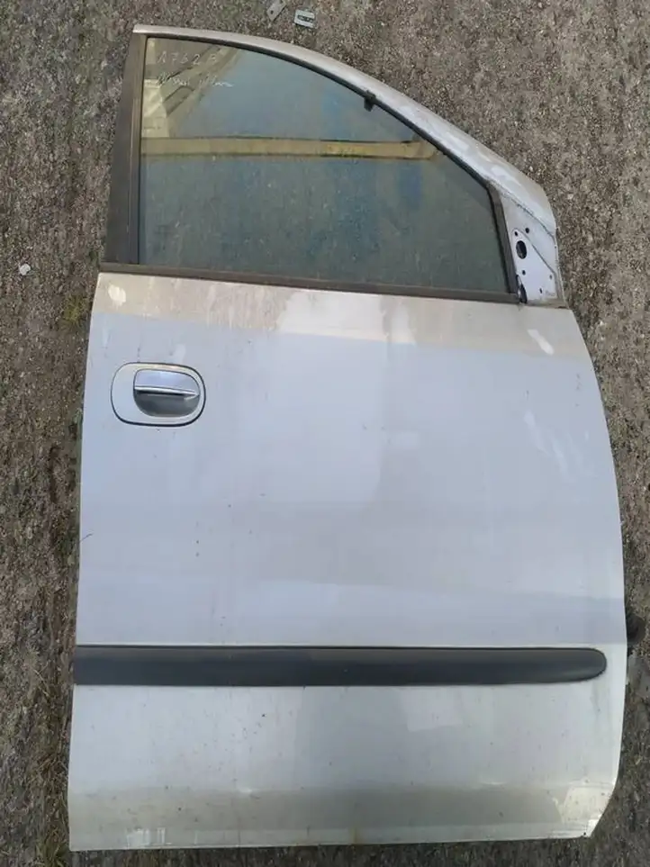 Nissan (2000 - 2006) pilkos Дверь — фото 3