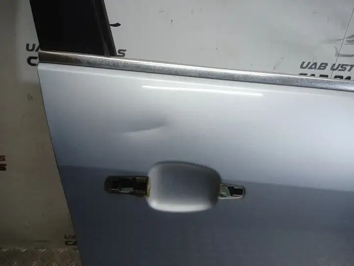 Opel Insignia A (2008 - 2017) Дверь — фото 3