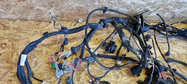 Renault Zoe (2012 - ) 403888442R Проводка двигателя — фото 2