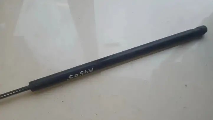 Toyota Corolla Verso AR10 (2004 - 2009) 689500F010 Амортизатор крышки багажника — фото 1