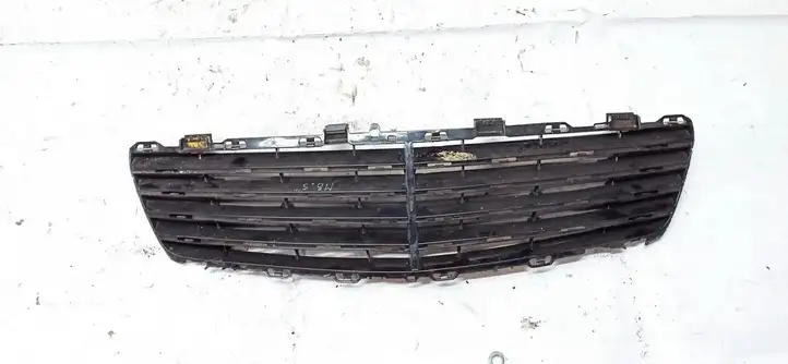 Mercedes-Benz S W220 (1998 - 2006) a2208800383 Передняя решетка — фото 1