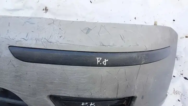 Ford Focus (1998 - 2004) PILKAS Молдинг переднего бампера — фото 1