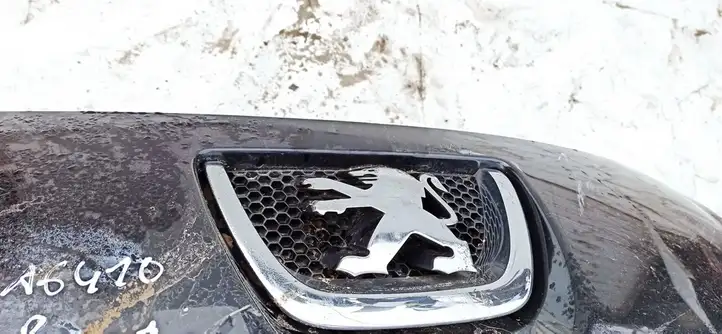 Peugeot 207 (2006 - 2009) Передняя решетка — фото 2
