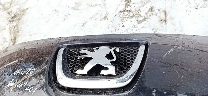 Peugeot 207 (2006 - 2009) Передняя решетка — фото 3