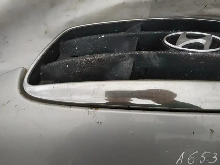 Hyundai Elantra (2000 - 2003) Передняя решетка — фото 2