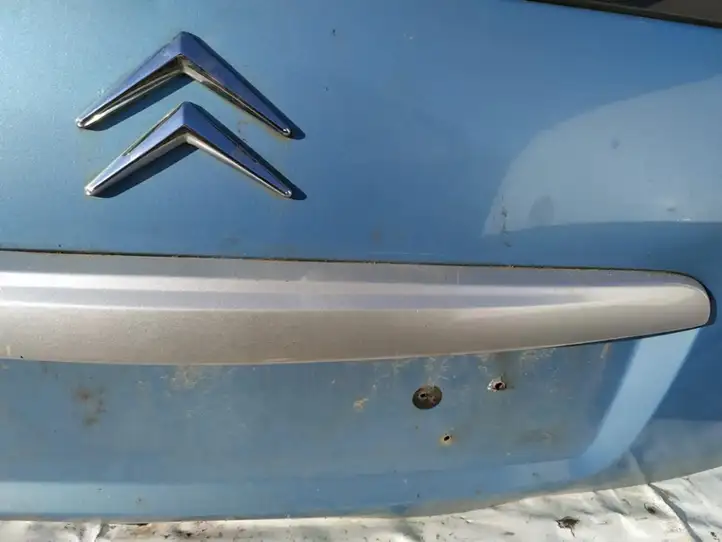 Citroen C3 (2002 - 2009) Подсветка номера — фото 3