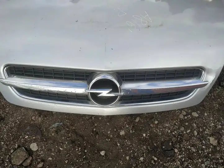 Opel Vectra C (2002 - 2005) Передняя решетка — фото 2