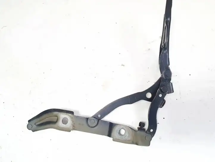 BMW 3 E90 E91 (2005 - 2012) 7060628 Петли крышки багажника — фото 3