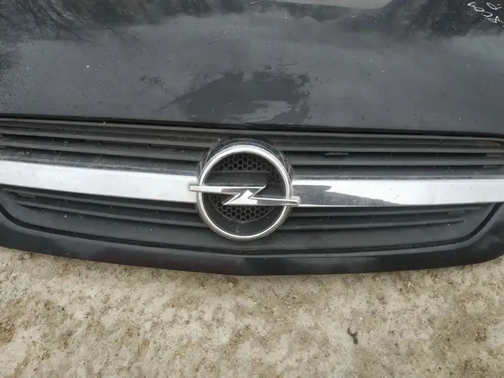 Opel Meriva A (2002 - 2006) Передняя решетка — фото 2
