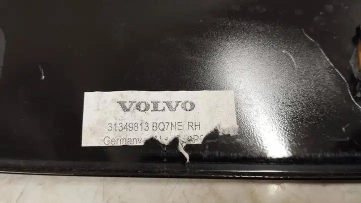 Volvo XC90 (2014 - 2019) 31349813 Рамка дверного стекла задней двери — фото 3