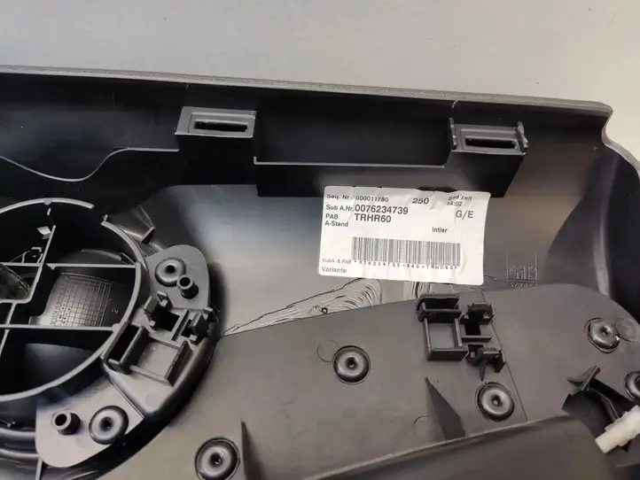 Mini Cooper Countryman R60 (2010 - 2016) 9800786 Обшивка задней двери — фото 3