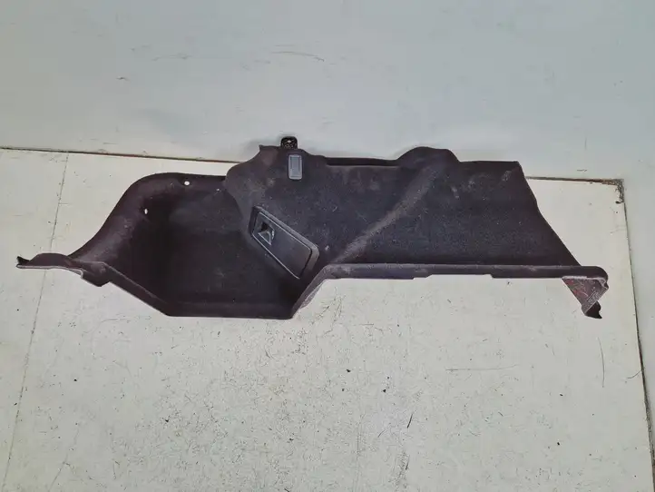 BMW 5 G30 G31 (2016 - )  737358110 Боковая панель