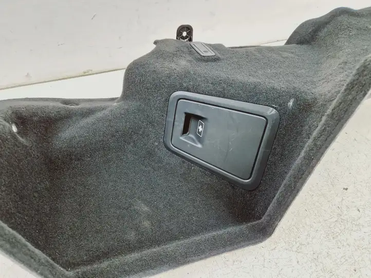 BMW 5 G30 G31 (2016 - )  737358110 Боковая панель