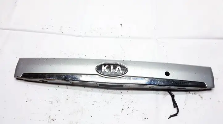 Kia Carnival (2006 - 2014) Подсветка номера — фото 1