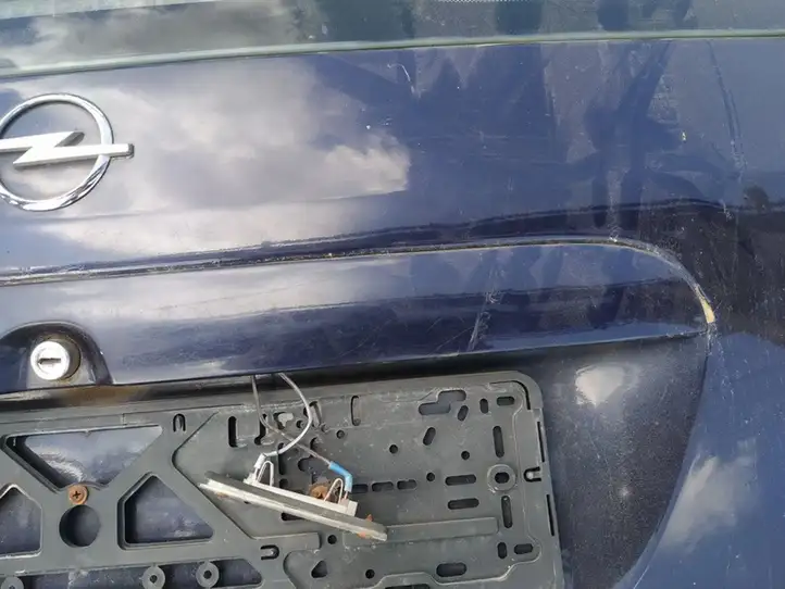 Opel Zafira A (1999 - 2003) Подсветка номера — фото 3