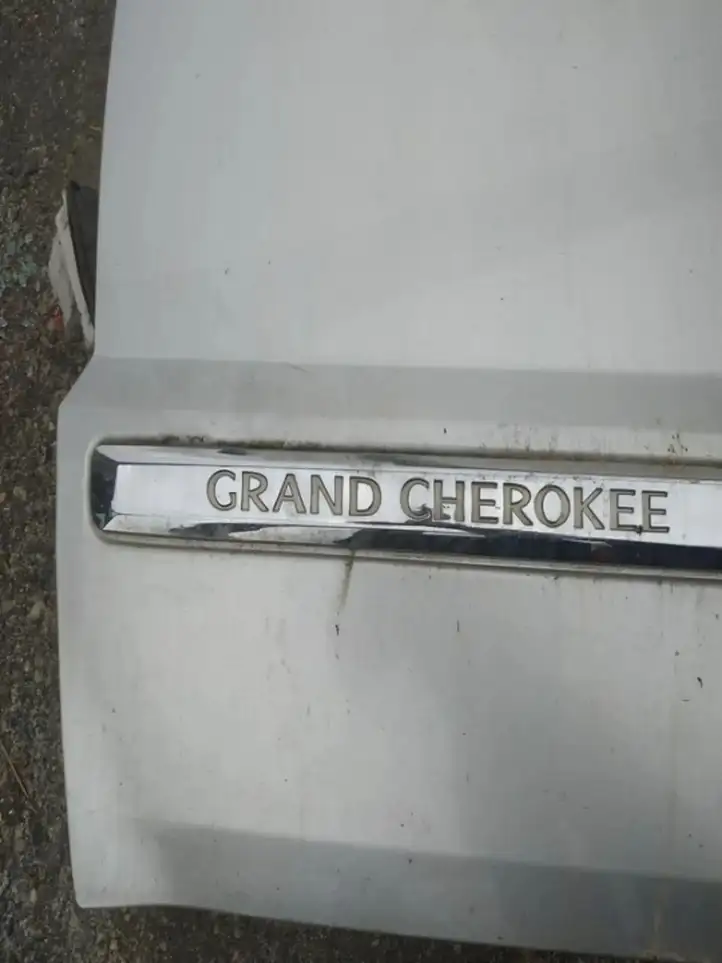 Jeep Grand Cherokee (WK) (2004 - 2010) Молдинг передней двери — фото 3