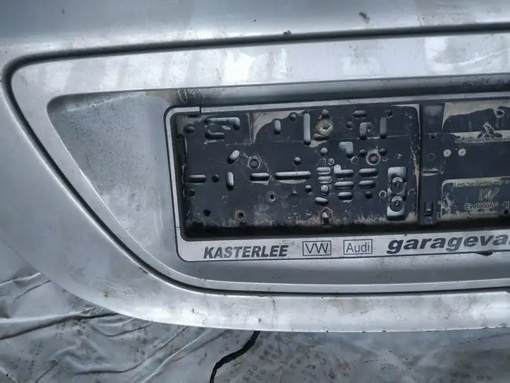 Mercedes-Benz C W203 (2000 - 2007) Подсветка номера — фото 2