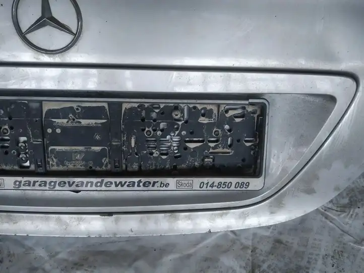 Mercedes-Benz C W203 (2000 - 2007) Подсветка номера — фото 3