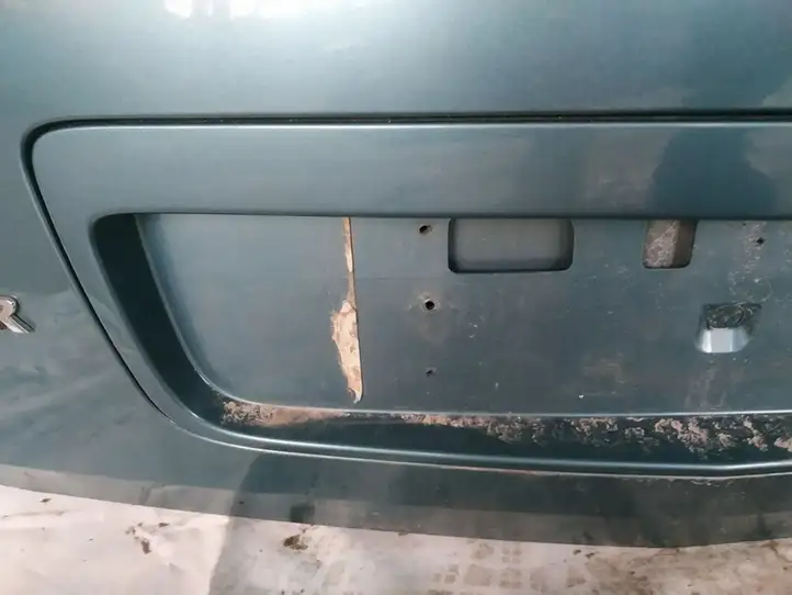 Nissan Primera (2001 - 2008) Подсветка номера — фото 2