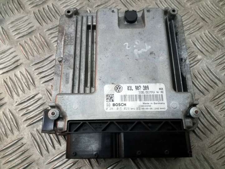 03L907309 Volkswagen PASSAT B6 Galios (ECU) modulis