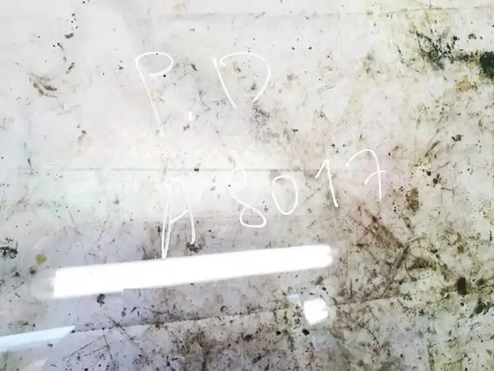 Toyota Previa (XR30, XR40) II (2000 - 2006)   Основное стекло передних дверей (четырехдверного автомобиля)