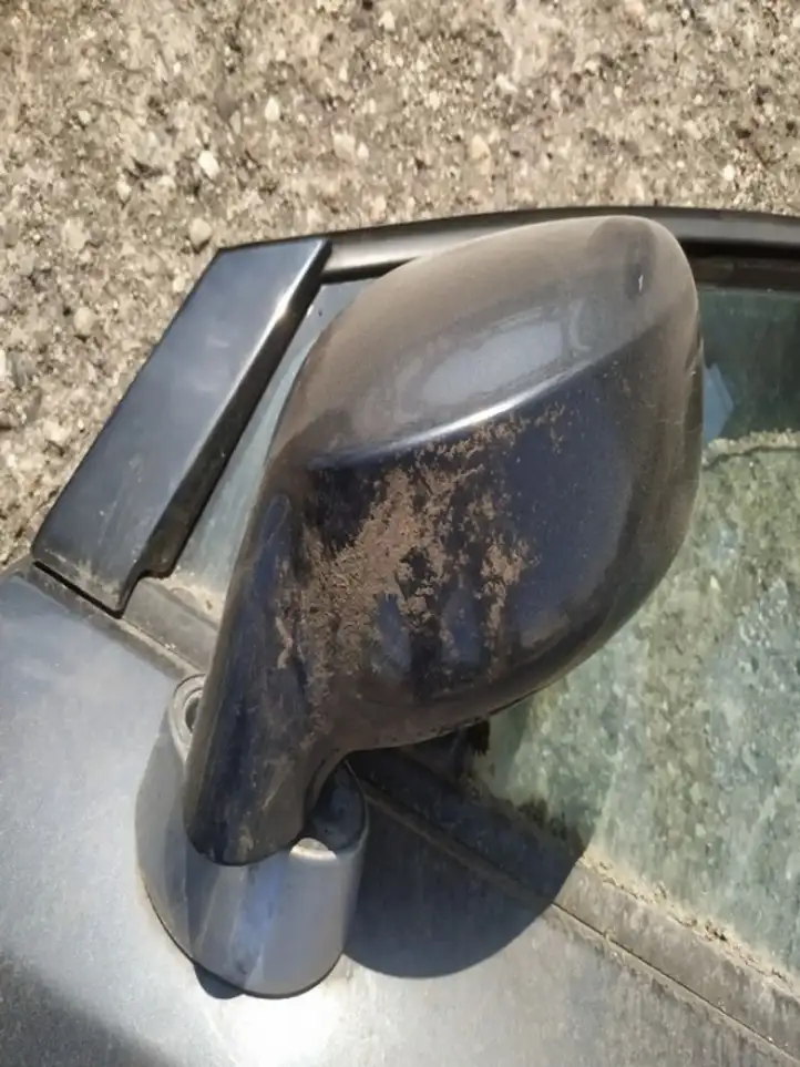 Renault Vel Satis (2002 - 2005) Боковое зеркало с электроприводом — фото 1