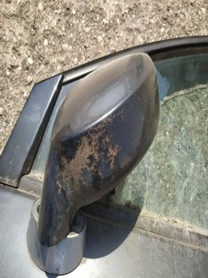 Renault Vel Satis (2002 - 2005) Боковое зеркало с электроприводом — фото 2