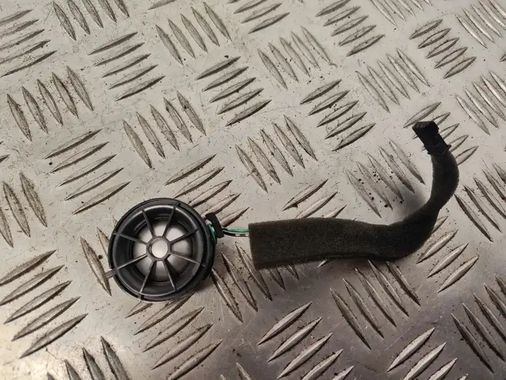 Land Rover Range Rover Sport (2009 - 2013)  5H2219A067CA Громкоговоритель (громкоговорители) высокой частоты в передних дверях