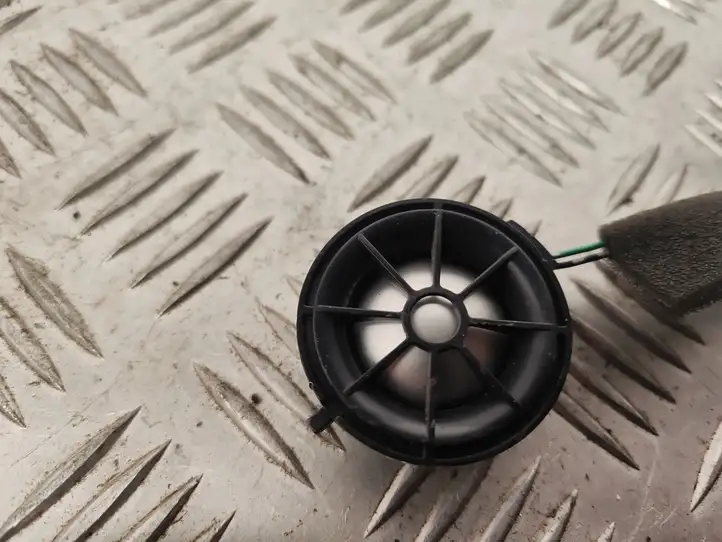 Land Rover Range Rover Sport (2009 - 2013)  5H2219A067CA Громкоговоритель (громкоговорители) высокой частоты в передних дверях