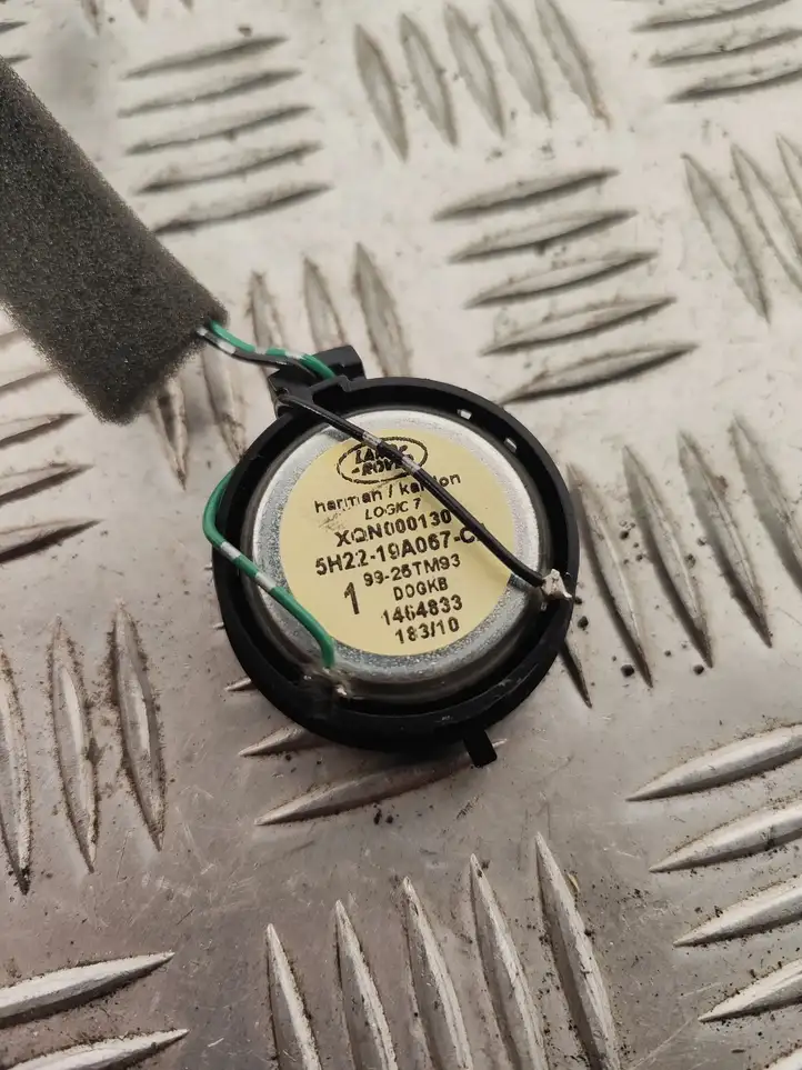 Land Rover Range Rover Sport (2009 - 2013)  5H2219A067CA Громкоговоритель (громкоговорители) высокой частоты в передних дверях