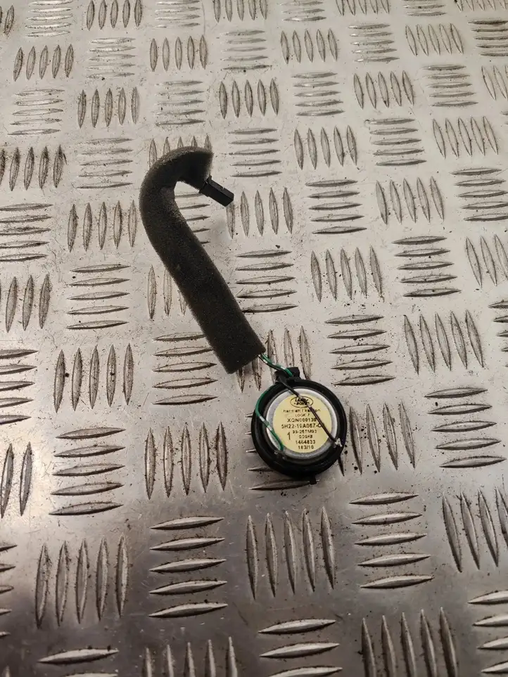 Land Rover Range Rover Sport (2009 - 2013)  5H2219A067CA Громкоговоритель (громкоговорители) высокой частоты в передних дверях