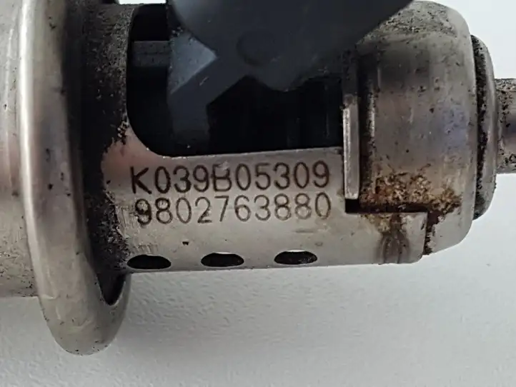 Citroen C4 Grand Picasso (2013 - 2016) 9802763880 Форсунка AdBlue — фото 4