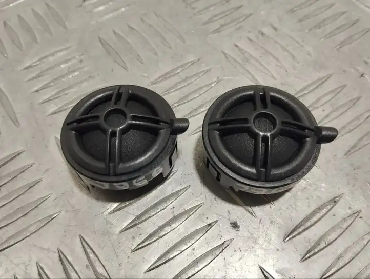 Maserati Quattroporte (2012 - 2016)  670002119 Громкоговоритель (громкоговорители) высокой частоты в передних дверях