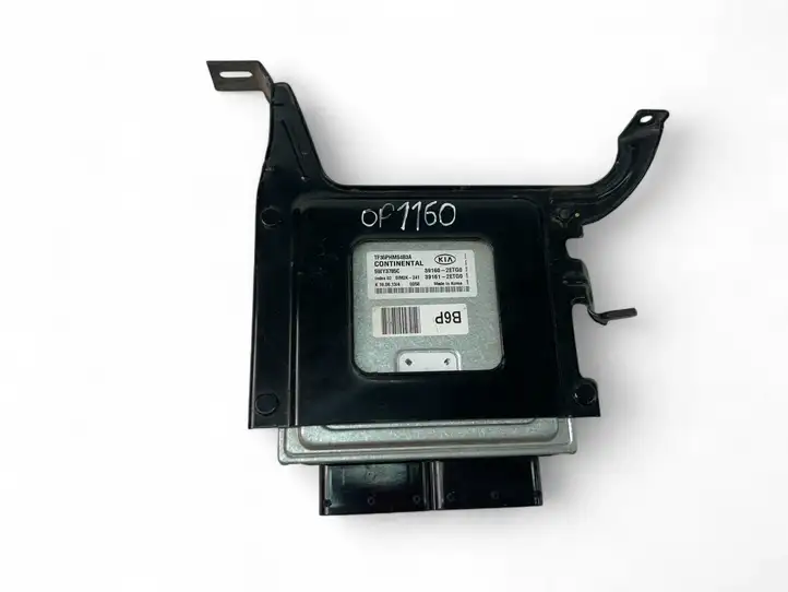 Kia Optima (2013 - 2015)  391602ETG0 Блок управления двигателем ECU