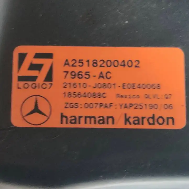 Mercedes-Benz R W251 (2005 - 2013) A2518200402 Твитер задних дверей — фото 2