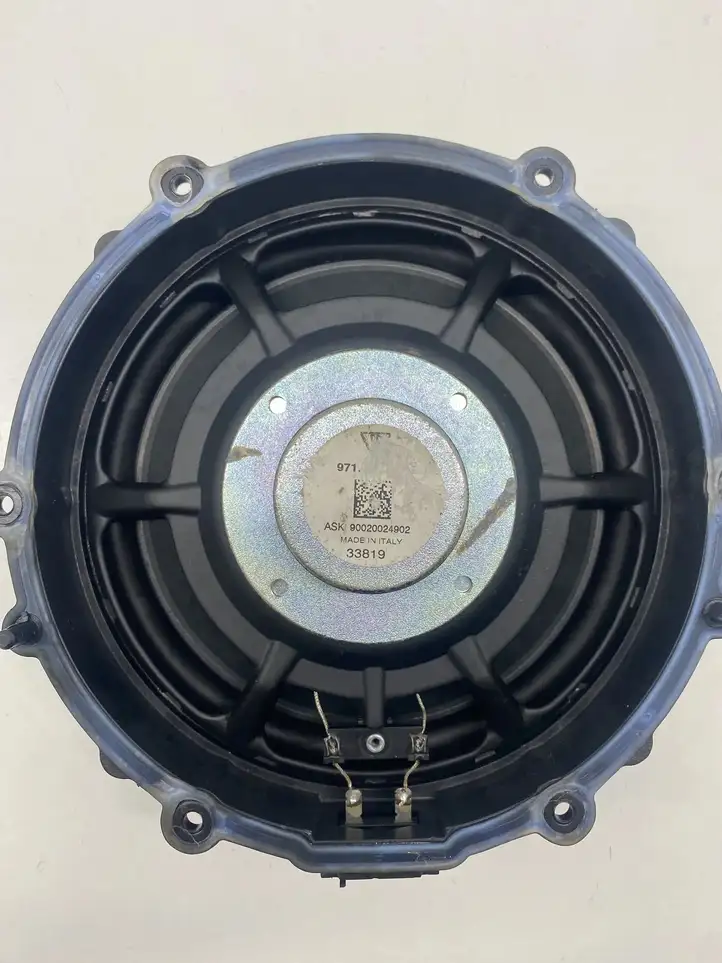 Porsche Taycan 9J1 (2019 - ) 971035453 Динамики задних дверей — фото 2