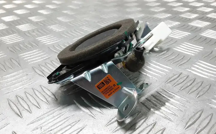 Toyota Land Cruiser (J150) (2009 - ) 8615060210 Динамики задних дверей — фото 2