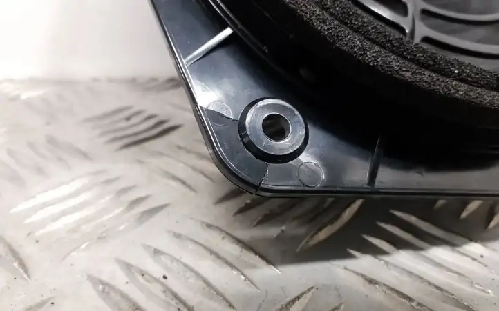 Audi TT TTS Mk2 (2006 - 2010) 8H0035411B Динамики задних дверей — фото 4